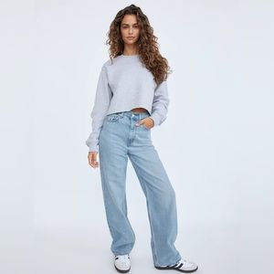 Aritzia Levi’s Premium Denim High Loose Wide Leg Jeans